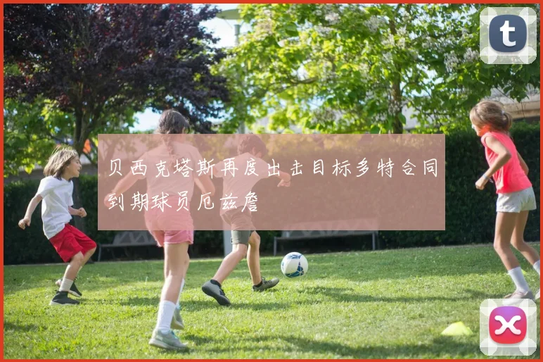 贝西克塔斯再度出击目标多特合同到期球员厄兹詹